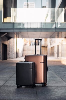 two luggage cases standing up ready for a trip